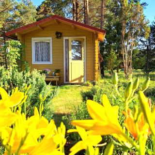 Lootuse Spa - Nõmmemaa - 1