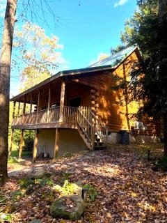 Waterfront Secluded Log Cabin - 5