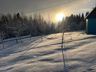 Sadiba Rozchil - Yablunytsya - 9