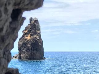 Апартаменты 303 - Studio - Funchal - 3