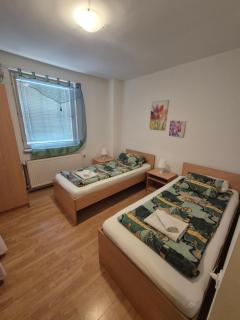 Vila Vienna - Zajecar - 4