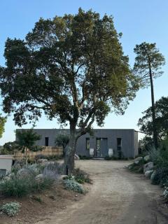 Bohemian Villa with Heated Pool near beach - 2