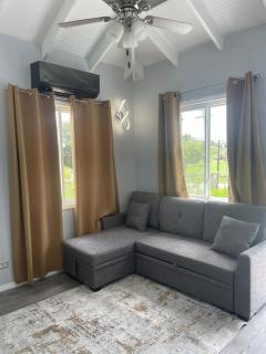 Caribbean Living Cottage near beach - Dickenson Bay - 9
