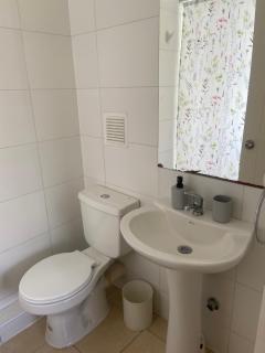APp BRINTRUP - 1