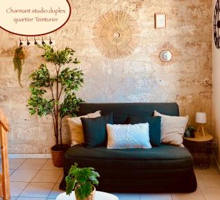Cosi studio duplex Teinturiers - WIFI - CLIM - - Avignon - 0