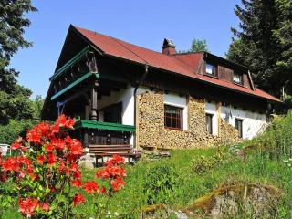 Ferienhaus Am Hermannsberg, Oberschoenau - Oberschönau - 0