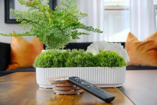 Elegant 3BR Oasis in Dundee Close to Downtown - 1