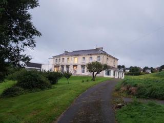 Double Room in Richmond House Fermoy - 6