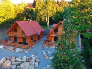 Luxus Chalet mit Sauna in Schierke - Schierke - 9
