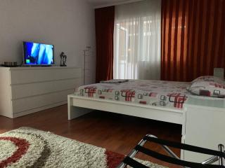 Ana Center Apartment - Galaţi - 9