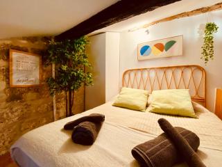 Cosi studio duplex Teinturiers - WIFI - CLIM - - Avignon - 2