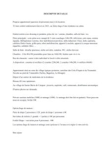 Appartement T2 Ste Marie de Campan - La Mongie - Tourmalet - Campan - 9
