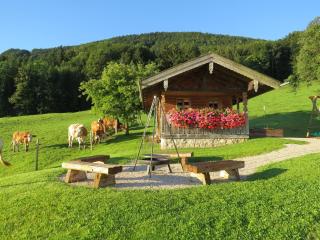 Schleipfnerhof Urlaub auf dem Bauernhof - Bernau am Chiemsee - 5