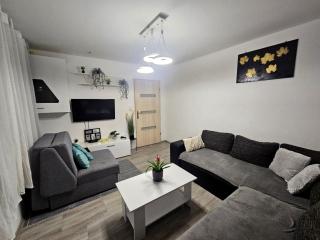 Apartmani Tea - Kutjevo - 8