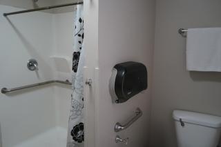 Chic Midtown 6BR Main house and 3BR Cottage - 3