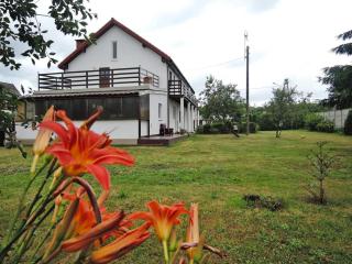 Holiday spacious modern flat in Dabrowa - Gostyniec - 5
