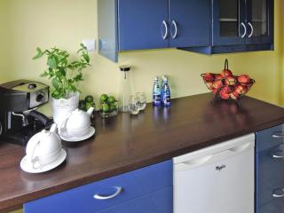 Holiday spacious modern flat in Dabrowa - Gostyniec - 1