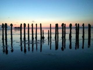 Atmospheric chalet near the Wadden Sea - Tzummarum - 5