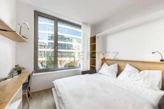 MyMozart Residence Lux Studio with Parking included - Prague - 8