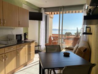 Appartement T2 lumineux avec terrasse et climatisation - FR-1-553-253 - 7