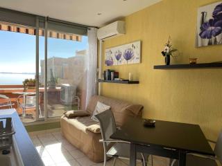 Appartement T2 lumineux avec terrasse et climatisation - FR-1-553-253 - Balaruc-les-Bains - 6