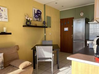 Appartement T2 lumineux avec terrasse et climatisation - FR-1-553-253 - Balaruc-les-Bains - 4