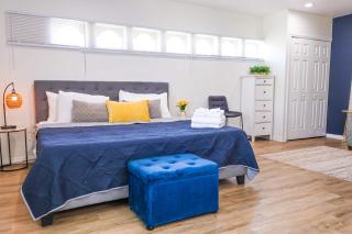 NEW5 LUXURYSTUDIO Nr DISNEY PETSOKprivENTRY - 8