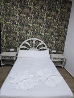Casa Arturo de Austria - 3