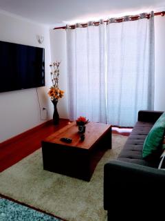 Hermoso Departamento Tranquilo y muy silencioso - El Cerrillo - 1