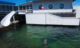 Surfside Beach House near Ancient Redwoods - 4