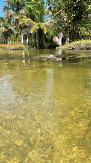 Sítio bom gosto - 8