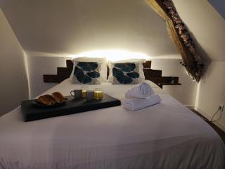 Studio Kamelia - Saint-Aignan - 7