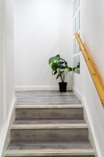 Spacious 1 Bedroom City Apartment with full amenities - Leicester - 1