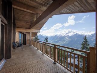 Appartement neuf rooftop, Sud, proche pistes, cheminée, wifi - FR-1-690-21 - Montvalezan - 7