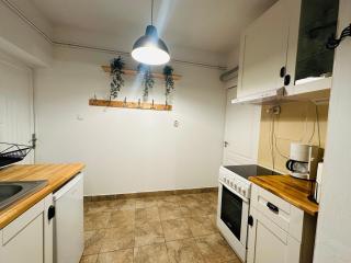 Wood & Moss Apartment - Central - Free Parking - Nice Garden - Cluj-Napoca - 7
