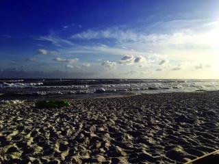 Goin Coastal Emerald Beach Unit 729 - Panama City Beach - 4