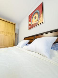 Gloria Apartment - Chişinău - 5