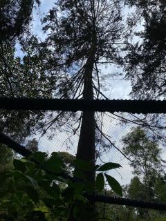 Luxury Cabin in the Forest - 5