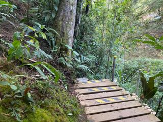 Luxury Cabin in the Forest - El Retiro - 1