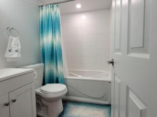 Luxury one bedroom in a modern basement - 6