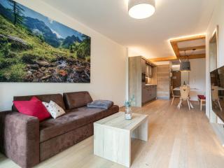 Apart33 Top 2-12 - Haus im Ennstal - 8