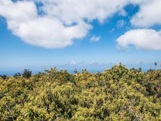 Holiday Home in Tenerife with Private Garden - La Corujera - 2