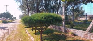 Pedaço do Paraiso - 7