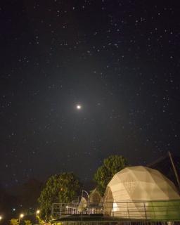 Wildglamps Athirappilly - Athirappilly - 6