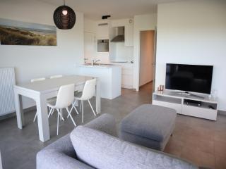 Apartment in Nieuwpoort with sea view - Nieuwpoort - 8
