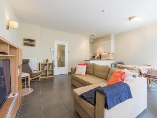Spacious apartment with terrace - Blankenberge - 6