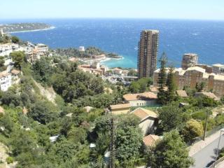 Beausoleil Monaco Comfortable holiday residence - Beausoleil - 0