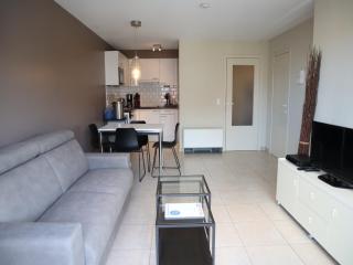 Apartment in Nieuwpoort near the Marina - 0