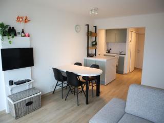 Apartment in Nieuwpoort with sea view - Nieuwpoort - 8