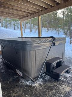 Waterfront Algonquin Retreat,Hot Tub & Sauna - 2